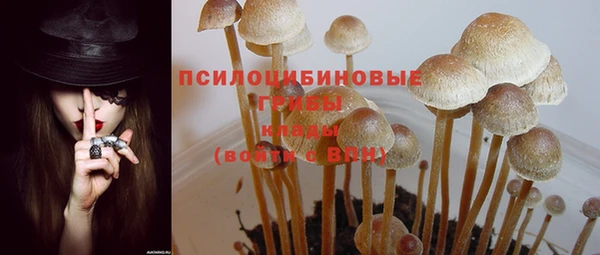 Альфа ПВП Баксан