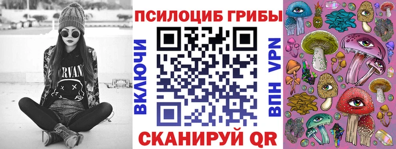 Псилоцибиновые грибы Magic Shrooms  Купить где  Баксан 